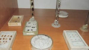 музеи кафедры Паразитологии