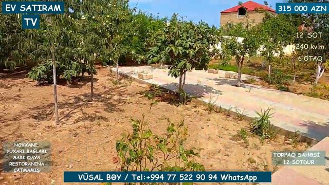 12 SOTDA BAĞ EVİ SATILIR NOVXANIDA /Недвижимость в Баку / EV SATIRAM TV/ Bag Evleri