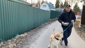 ГИПЕРАКТИВНАЯ СОБАКА - Что делать?