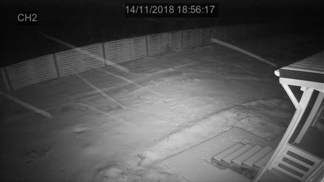 Гость, пока никого нет дома смотреть онлайн