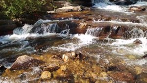 Красивейший горный ручей в лесу.