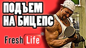 подъем гантелей на бицепс | поочередный подъем гантелей на бицепс стоя с супинацией