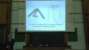 Асеев В. В. - Основы биохимии - Липиды