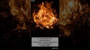 ФФ 'ОТВЕРГНУТЫЕ' 73 серия.т/и, Драко Малфой, Теодор Нотт, Гарри Поттер,Гермиона,Рон Уизли,Том Реддл.