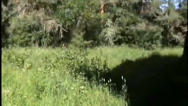 Золотые нити. Часть 2. смотреть онлайн