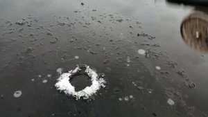 Скнятино Волнушка Окунь в Январе