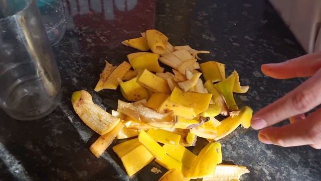 How To Plant Gladiolus Bulbs in Pot - How To Grow Gladiolus From Corms With Banana Peels Fertilizer смотреть онлайн