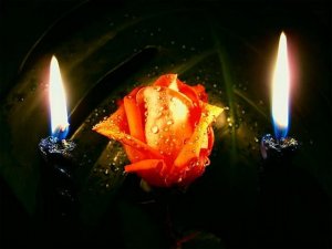 Самого Доброго И Уютного Вечера, Друзья! Очень Красивая Песня-Пожелание Доброго Вечера! Открытка!