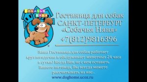 Гостиница для собак Санкт-Петербург  "Собачья Няня"