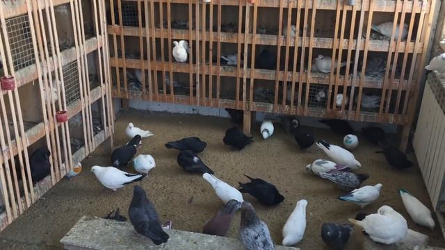 От брака необходимо избавиться. 26.01.2019. смотреть онлайн