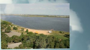 Сосновая роща курган.