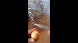 ЛУК НА ПЕРО ДОМА ЗИМОЙ // SOĞAN // onion