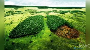 Почему мы так часто слышим слово «экология»?