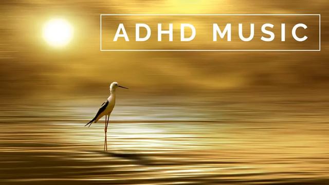ADHD Music - Focus Music for Better Concentration, Study Music for ADD