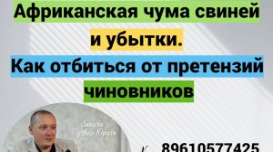 Проблемы фермеров из-за АЧС. Рассказываю на что обратить внимание.