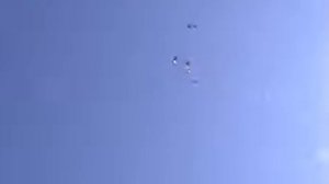 СЕРПАСТЫЕ ГОЛУБИ