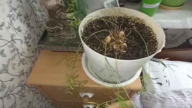 10 января 2024 г. смотреть онлайн