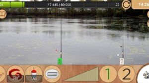 как поймать карася и карася золотого в карасевом пруду реальная рыбалка