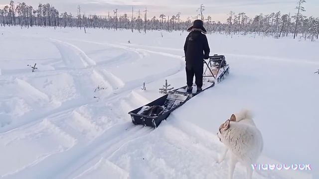 Мотобуксировщик на 380 гусенице смотреть онлайн