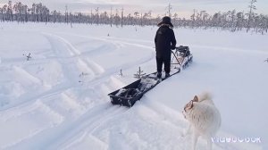 Мотобуксировщик на 380 гусенице