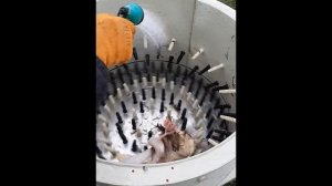 Самодельная Перосъемная машина