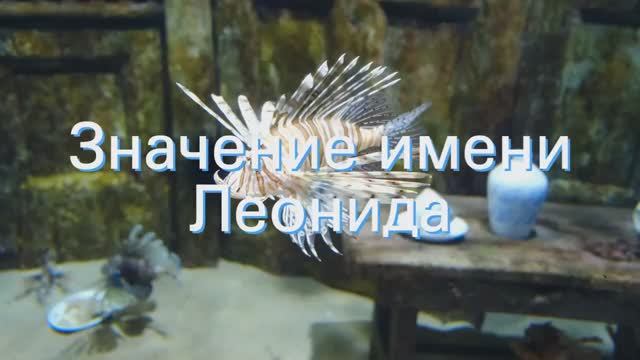 Значение имени Леонида. Толкование, судьба, характер смотреть онлайн