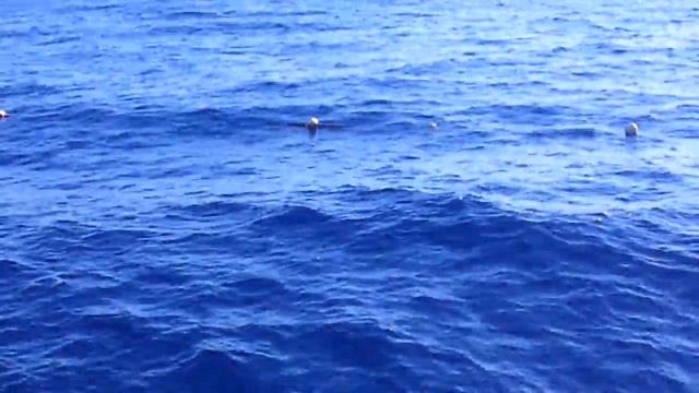 The Grand Hotel Sharm El Sheikh! Основной пляж! Вид с трапа! смотреть онлайн