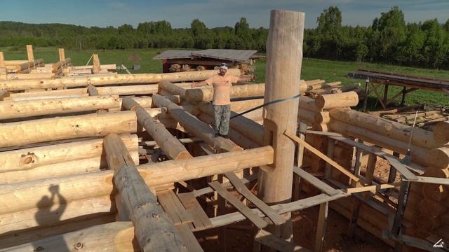Дом из кедра в Латвию ! Мощное Родовое дерево и входные группы ! Окончание рубки первого этажа! смотреть онлайн