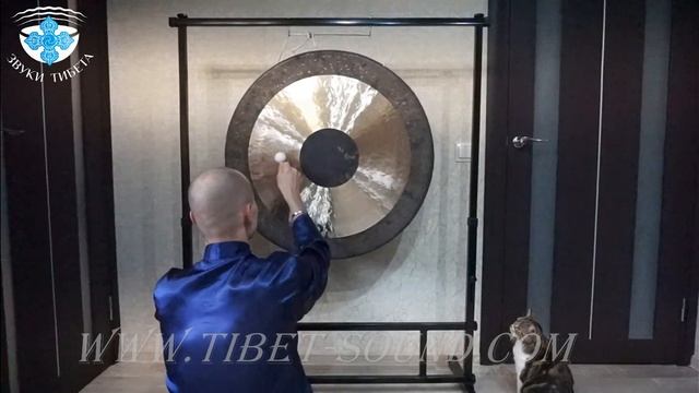 Гонг - 80 см., Звук Гонга - 80 см. смотреть онлайн