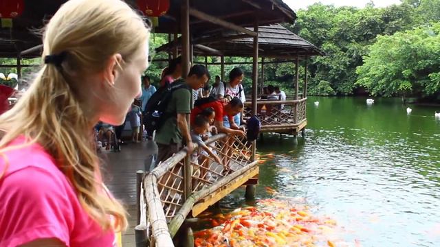 Зоопарк в Шэньчжэне. смотреть онлайн
