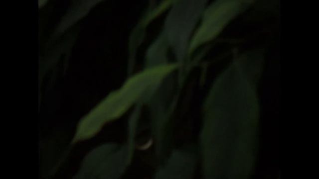 SAMSUNG ES75 смотреть онлайн