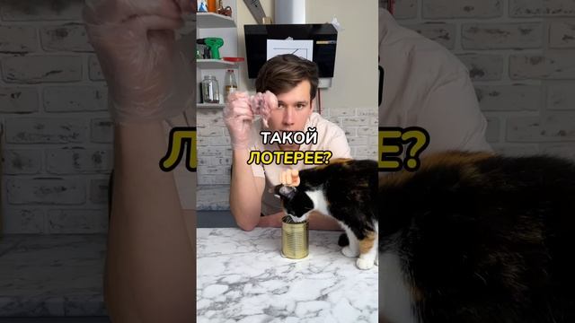 Делай это, что бы не навредить уличным животным. смотреть онлайн