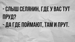 АНЕКДОТЫ ПРО ДЕРЕВНЮ#1