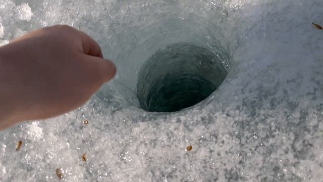 Клевая рыбалка в апреле