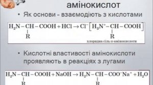 Амінокислоти