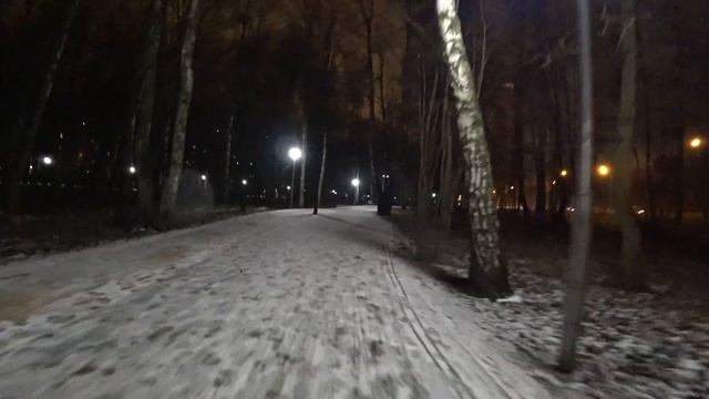 Прогулка из Солнцево Парк в Ново-Переделкино (31.12.2019)