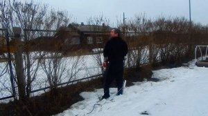 Апрель. Участок. Обрезка живой изгороди. Сирень.