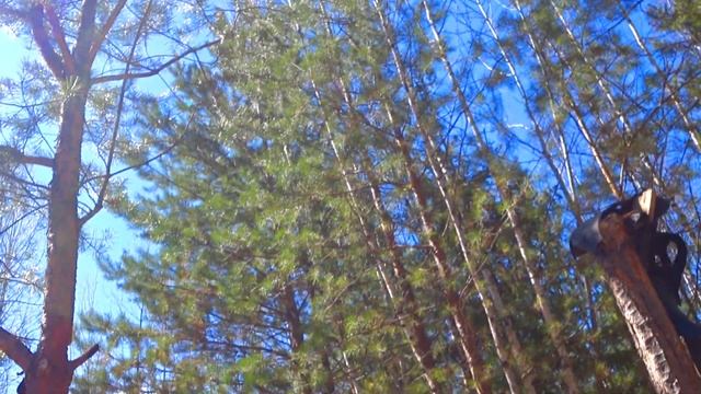 Лесная спортивная площадка   Сломали турник