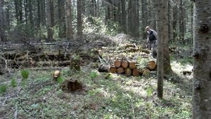 Лесная изба.Ставим окно и дверь # 4.