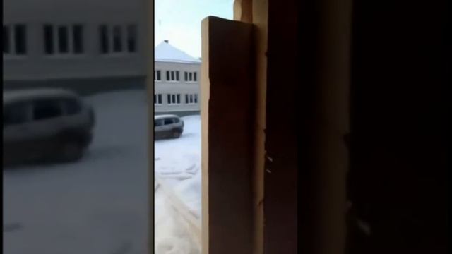 Что такое обсадные ройки в деревянном доме и для чего они нужны