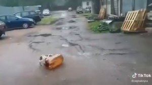 Тузик - контузик.