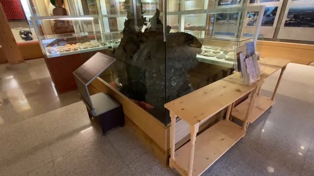 Буддийский храм Наксан-са, г. Янг-Янг/Мое самое любимое место в Корее/낙산사 양양/KOREA VLOG