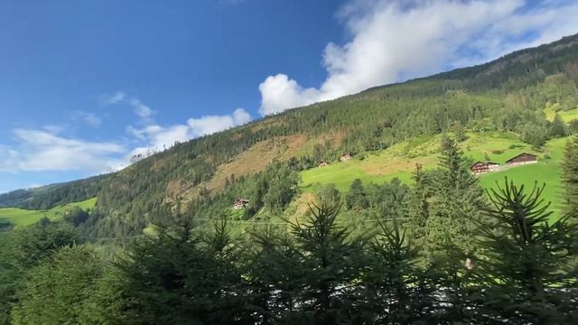 Как и когда идёт вырубка деревьев в Австрии. смотреть онлайн