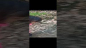 20230417_173604.mp4