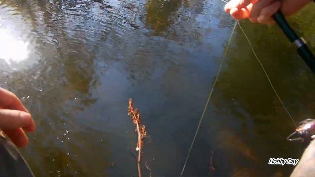 Щука в МИКРО РЕЧКЕ (Вода чистая как слеза) Часть вторая. смотреть онлайн