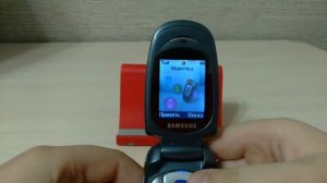 Samsung SGH-X480 входящий звонок\ Samsung SGH-X480 incoming call