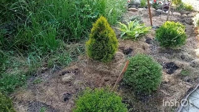 Переехали на юг/Прогулка по нашему саду/Цветет вейгела/ смотреть онлайн