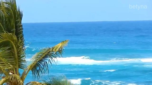 Республика Dominican автор музыки Mr.ZOFF.mp4