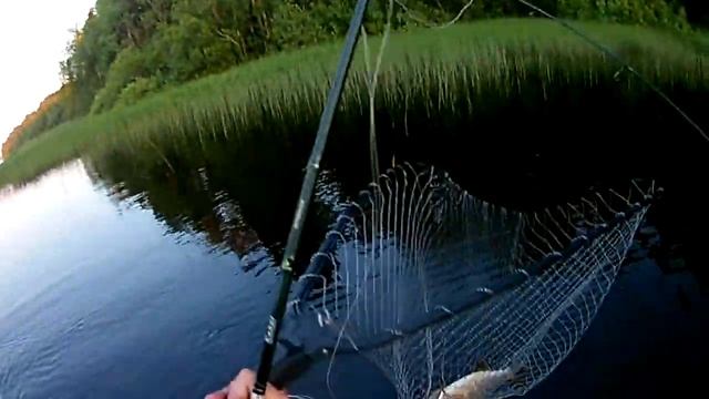 Жор щуки в ладожских шхерах смотреть онлайн