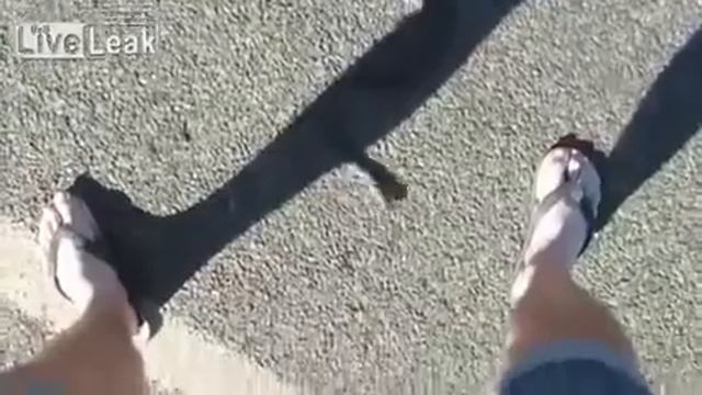 Гадюка укусила смотреть онлайн